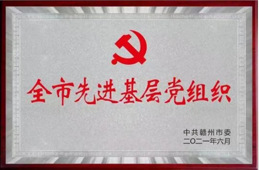 党建示范成果